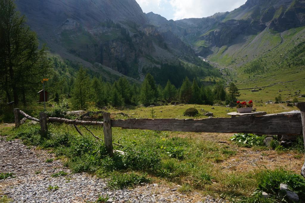Bnb Valais - By La Sittelle Grimisuat Luaran gambar