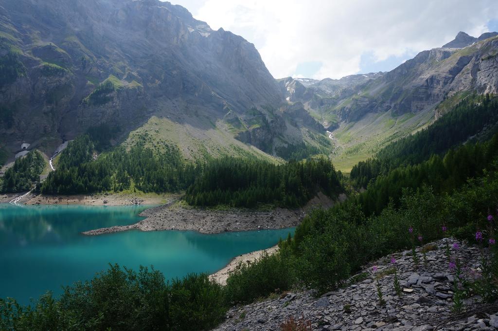 Bnb Valais - By La Sittelle Grimisuat Luaran gambar